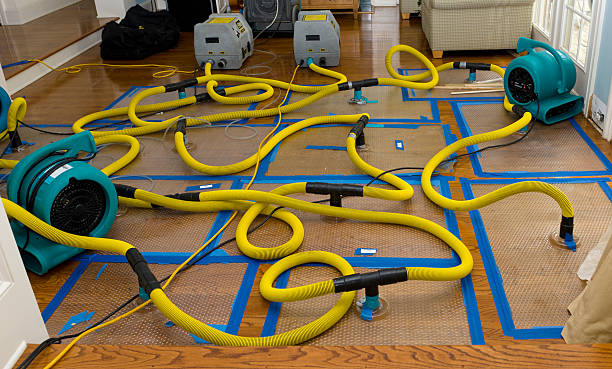 Professional Crawl Space Water Removal technician working in Strasburg, MO